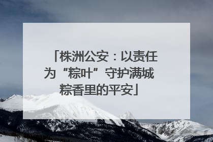 株洲公安：以责任为“粽叶”守护满城粽香里的平安