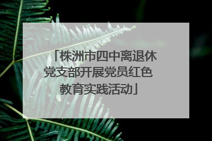 株洲市四中离退休党支部开展党员红色教育实践活动