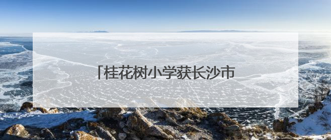 桂花树小学获长沙市第十一届运动会三人制篮球比赛少年组双冠