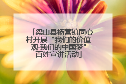 梁山县杨营镇同心村开展“我们的价值观·我们的中国梦”百姓宣讲活动