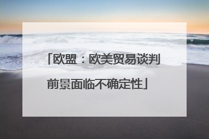 欧盟：欧美贸易谈判前景面临不确定性