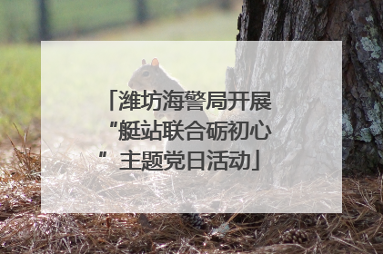 潍坊海警局开展“艇站联合砺初心”主题党日活动