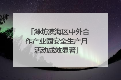 潍坊滨海区中外合作产业园安全生产月活动成效显著