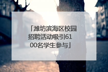 潍坊滨海区校园招聘活动吸引6100名学生参与