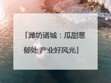 潍坊诸城：瓜甜葱郁处 产业好风光