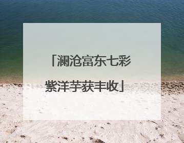 澜沧富东七彩紫洋芋获丰收