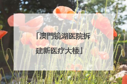 澳門镜湖医院拆建新医疗大楼