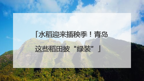 水稻迎来插秧季！青岛这些稻田披“绿装”