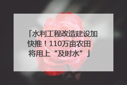 水利工程改造建设加快推！110万亩农田将用上“及时水”