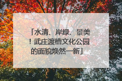 水清、岸绿、景美！武庄渡槽文化公园的面貌焕然一新
