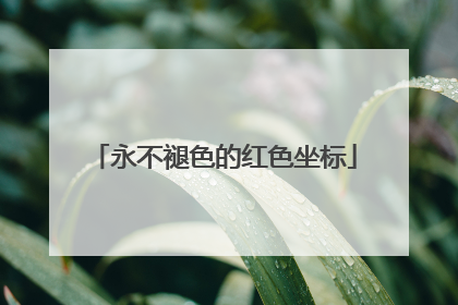 永不褪色的红色坐标