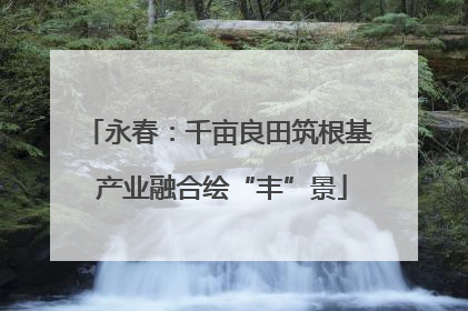 永春：千亩良田筑根基 产业融合绘“丰”景