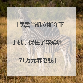 民警当机立断夺下手机，保住了李娭毑71万元养老钱