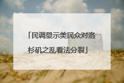 民调显示美民众对洛杉矶之乱看法分裂