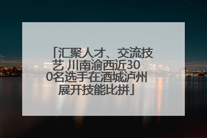 汇聚人才、交流技艺 川南渝西近300名选手在酒城泸州展开技能比拼