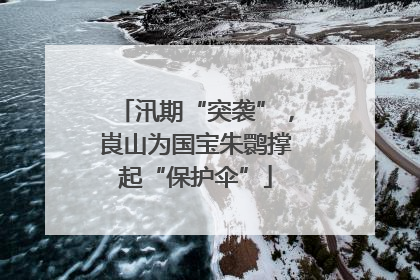 汛期“突袭”，崀山为国宝朱鹮撑起“保护伞”