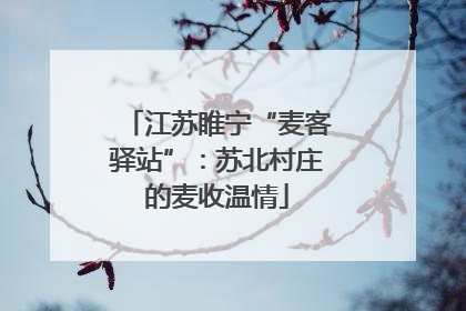 江苏睢宁“麦客驿站”：苏北村庄的麦收温情