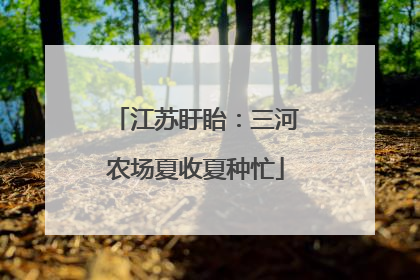 江苏盱眙：三河农场夏收夏种忙