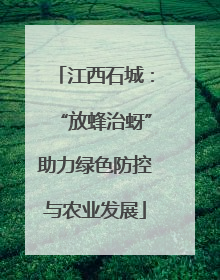 江西石城：“放蜂治蚜”助力绿色防控与农业发展