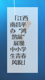 江西南昌举办“鸿鹄展” 展现中小学生青春风貌