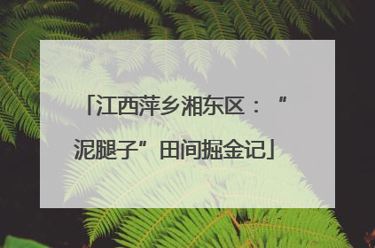 江西萍乡湘东区：“泥腿子”田间掘金记
