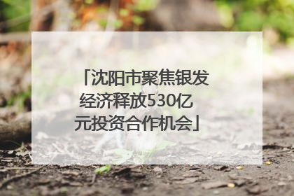 沈阳市聚焦银发经济释放530亿元投资合作机会