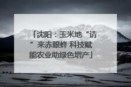沈阳：玉米地“请”来赤眼蜂 科技赋能农业助绿色增产