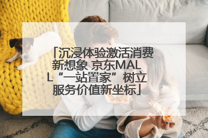沉浸体验激活消费新想象 京东MALL“一站置家”树立服务价值新坐标