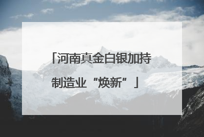 河南真金白银加持制造业“焕新”