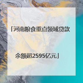 河南粮食重点领域贷款余额超2595亿元