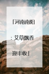 河南南阳：艾草飘香迎丰收