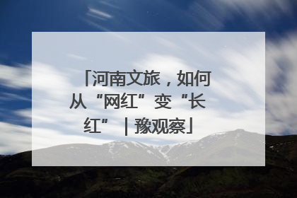 河南文旅，如何从“网红”变“长红”｜豫观察