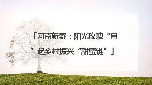 河南新野：阳光玫瑰“串”起乡村振兴“甜蜜链”