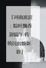 河南淮滨：粽叶飘香迎端午 传统民俗焕新彩