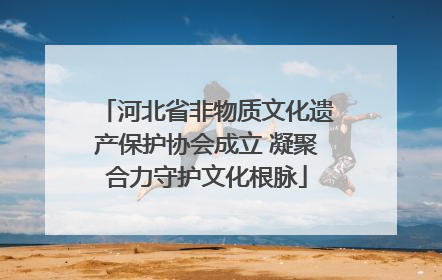 河北省非物质文化遗产保护协会成立 凝聚合力守护文化根脉