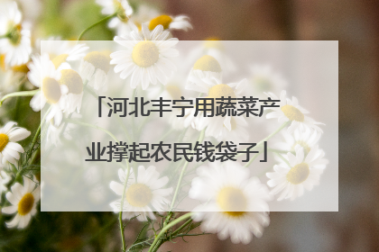 河北丰宁用蔬菜产业撑起农民钱袋子