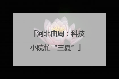 河北曲周：科技小院忙“三夏”