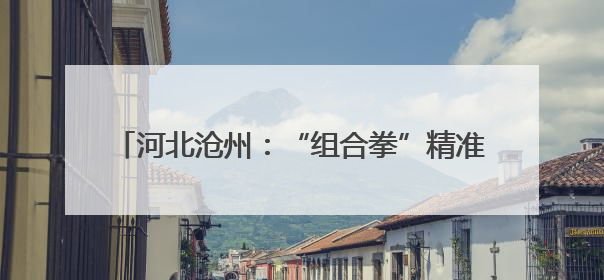 河北沧州：“组合拳”精准发力 助力企业创新突破