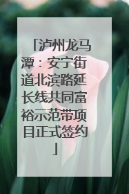 泸州龙马潭：安宁街道北滨路延长线共同富裕示范带项目正式签约
