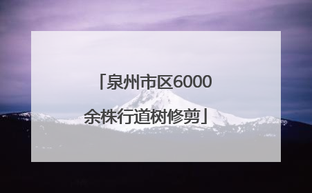 泉州市区6000余株行道树修剪