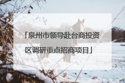 泉州市领导赴台商投资区调研重点招商项目