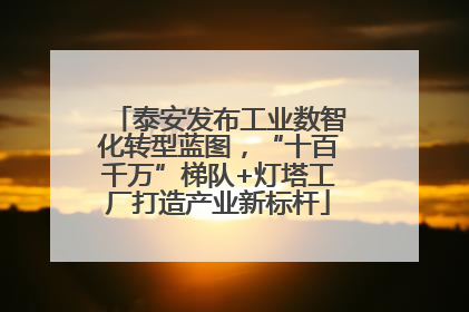 泰安发布工业数智化转型蓝图，“十百千万”梯队+灯塔工厂打造产业新标杆