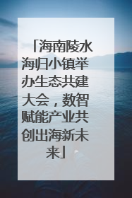 海南陵水海归小镇举办生态共建大会，数智赋能产业共创出海新未来
