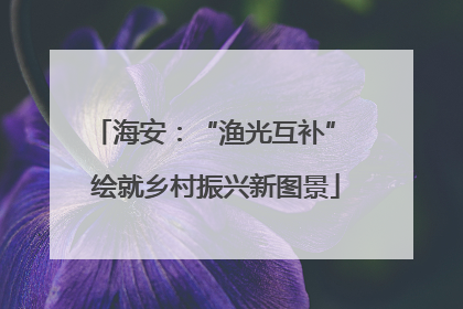海安：“渔光互补” 绘就乡村振兴新图景