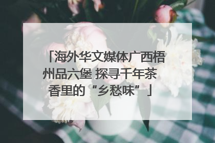 海外华文媒体广西梧州品六堡 探寻千年茶香里的“乡愁味”