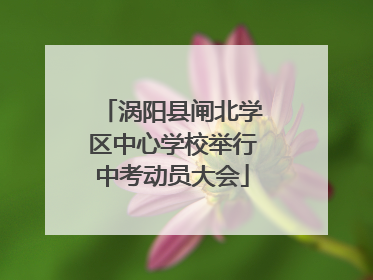 涡阳县闸北学区中心学校举行中考动员大会