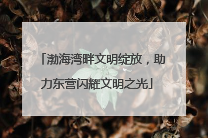 渤海湾畔文明绽放，助力东营闪耀文明之光