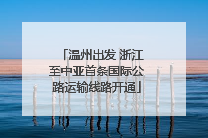 温州出发 浙江至中亚首条国际公路运输线路开通