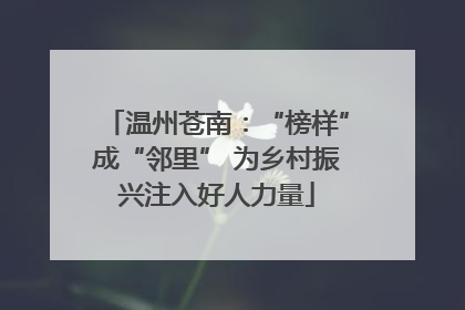 温州苍南：“榜样”成“邻里” 为乡村振兴注入好人力量