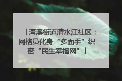 湾溪街道清水江社区：网格员化身“多面手”织密“民生幸福网”